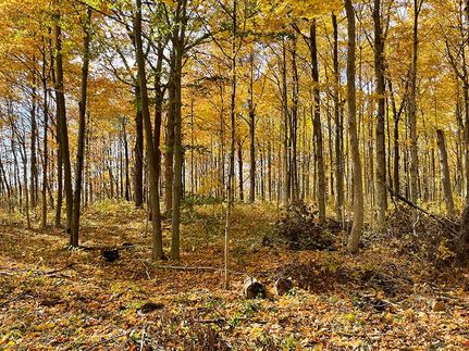 Property in Randolph County, Indiana