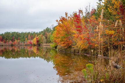 Property in Prince George County, Virginia