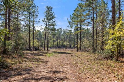 Property in Cherokee County, Texas