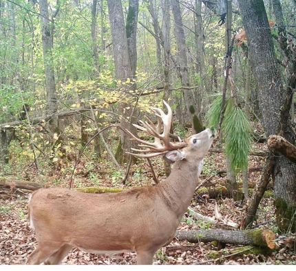 Property in Otter Tail County, Minnesota