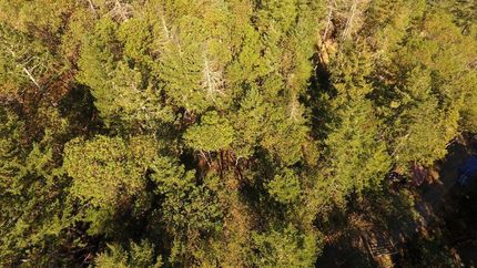 Property in Jackson County, Oregon