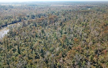 Property in Allen Parish, Louisiana