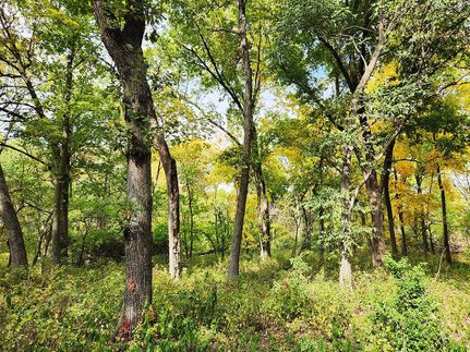 Property in Ringgold County, Iowa