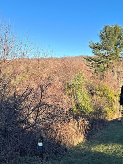 Property for sale in Pulaski County, Virginia