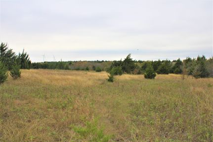 Property in Navarro County, Texas