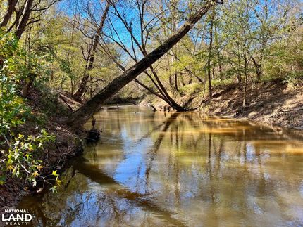 Property in Choctaw County, Alabama