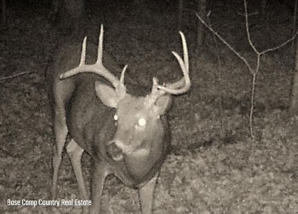 Property in Price County, Wisconsin