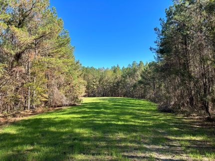 Property in Wilcox County, Alabama