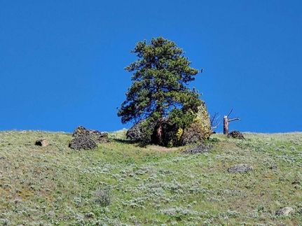 Property in Douglas County, Washington