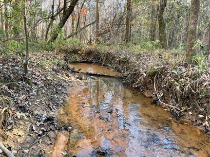 Property in Pike County, Alabama