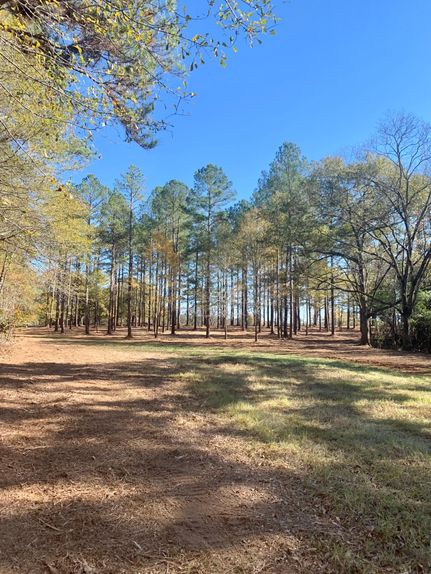 Property in Oglethorpe County, Georgia