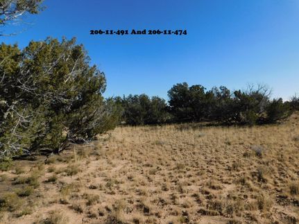 Property in Apache County, Arizona