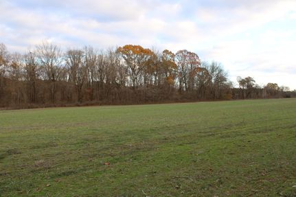 Property in Marshall County, Mississippi