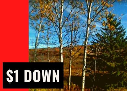 Property in Delaware County, New York