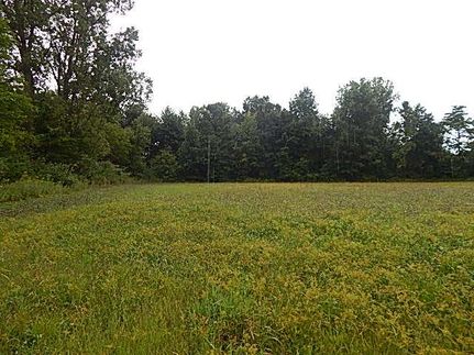 Property in Mecosta County, Michigan
