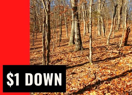 Property in Morgan County, West Virginia