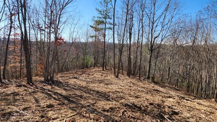 Hunting Land for sale in DeKalb County, Tennessee