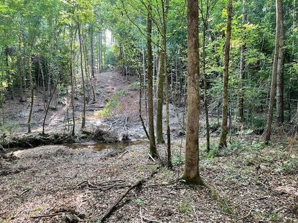 Property in Tallapoosa County, Alabama