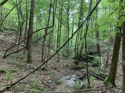 Property in Chilton County, Alabama