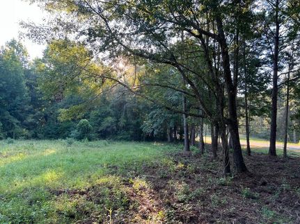 Property in Pike County, Alabama