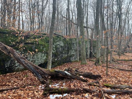 Property in Wayne County, Pennsylvania