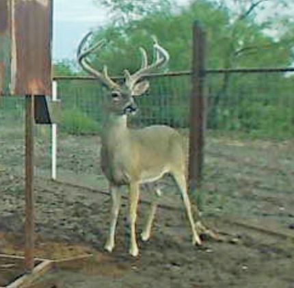 Property for sale in Kinney County, Texas