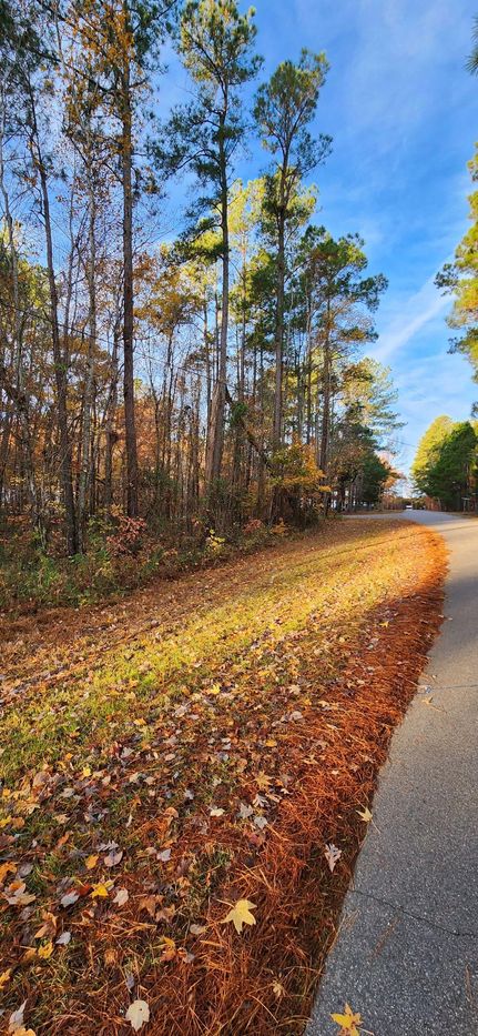 Property in Perquimans County, North Carolina