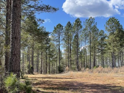 Property in Abbeville County, South Carolina