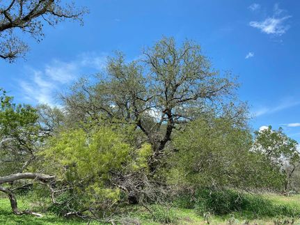 Property in Atascosa County, Texas
