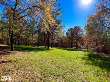 Property in Barbour County, Alabama