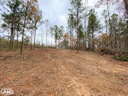 Property in Tuscaloosa County, Alabama