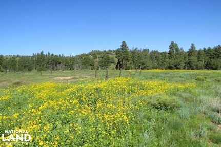 Property in Navajo County, Arizona