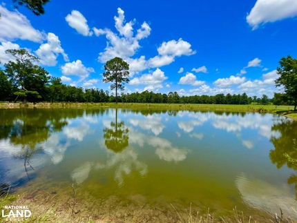 Property in Coffee County, Alabama