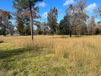 Property for sale in Polk County, Texas