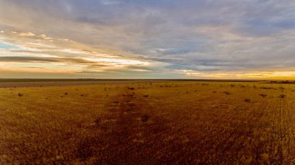 Property in Armstrong County, Texas