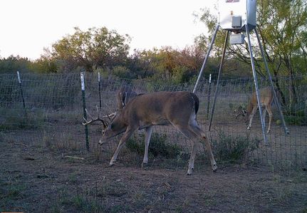 Property in Concho County, Texas