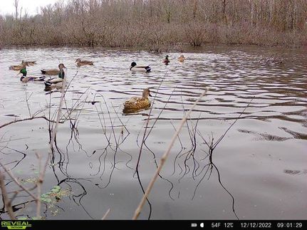 Property in Lawrence County, Alabama