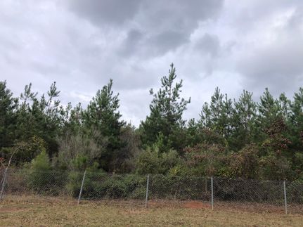 Property in Cass County, Texas