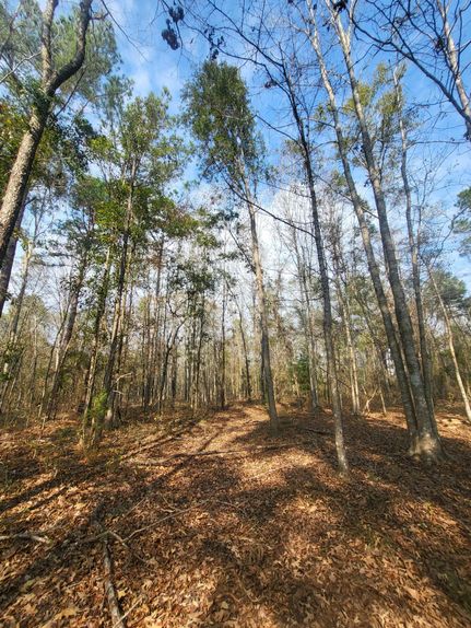 Property in Leon County, Florida