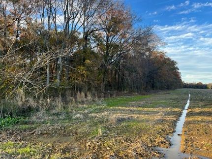 Property in West Carroll Parish, Louisiana