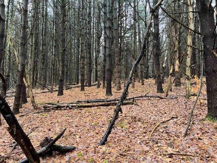 Property in Tioga County, New York