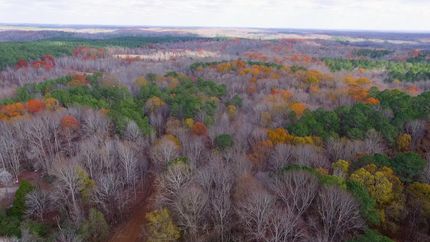 Property in Chester County, Tennessee