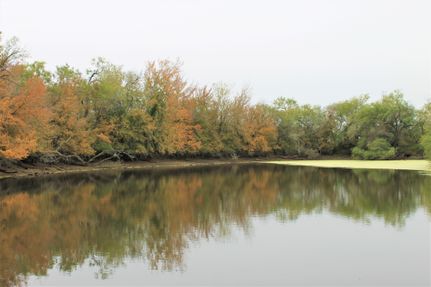 Property in Atascosa County, Texas