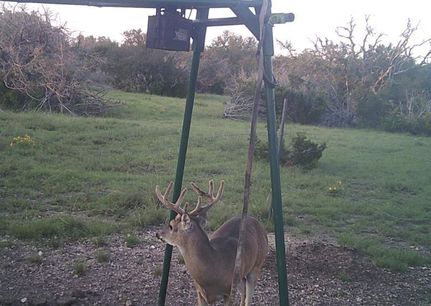 Property in Edwards County, Texas