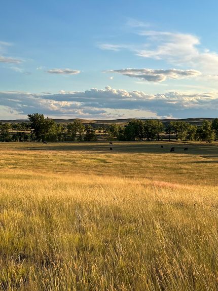 Property in Custer County, Montana