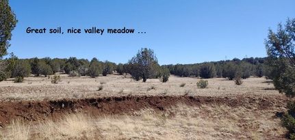 Property in Mohave County, Arizona