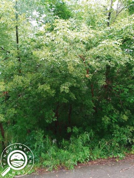 Property in Porter County, Indiana