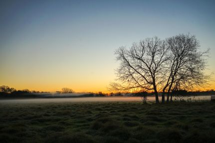 Property in Fort Bend County, Texas