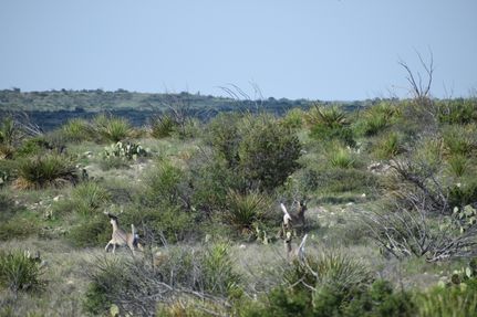 Property for sale in Val Verde County, Texas