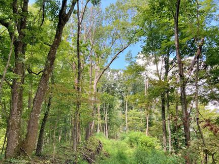 Property in Tyler County, West Virginia